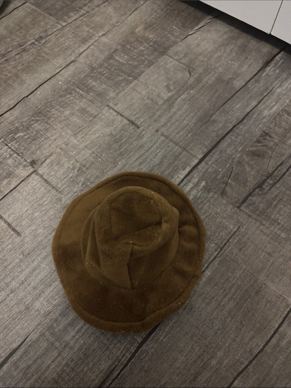 Adjustable brown Hat for Dogs